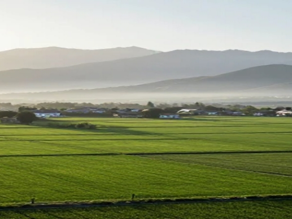 راهنمای خرید زمین در گیلان