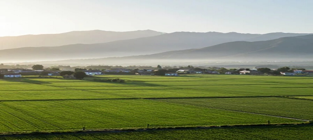 راهنمای خرید زمین در گیلان