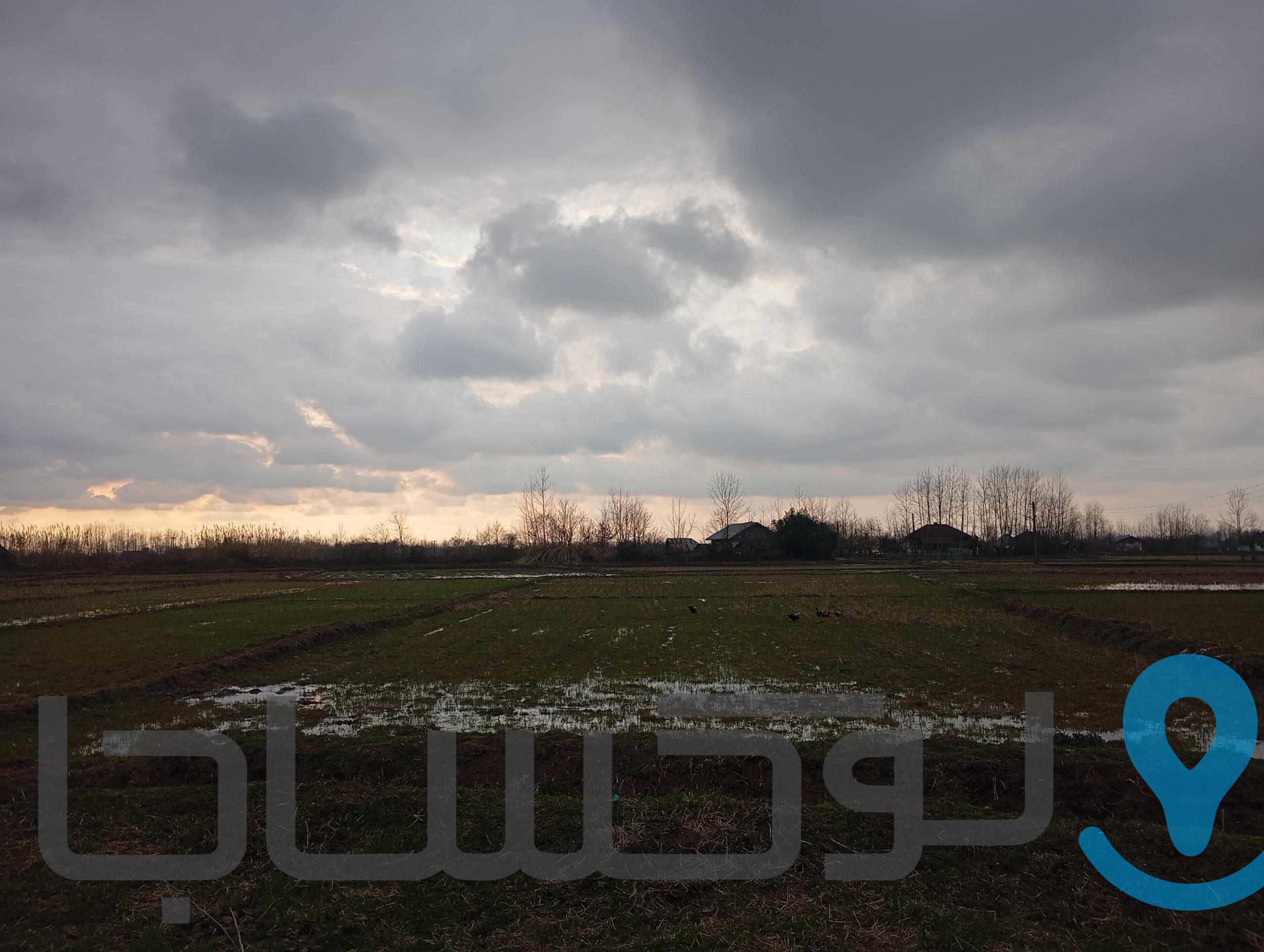 فروش زمین شالیزار 2800 متری